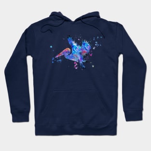 Pelican Hoodie